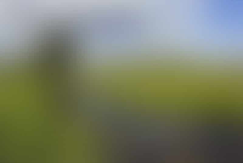 20-Blurred-Background-Pack