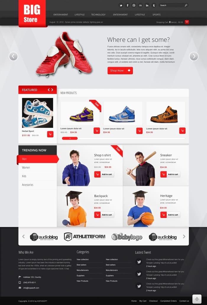 Latest Free Useful UI Elements PSD For E-commerce Websites 58 Big Store Free Ecommerce PSD Website Template
