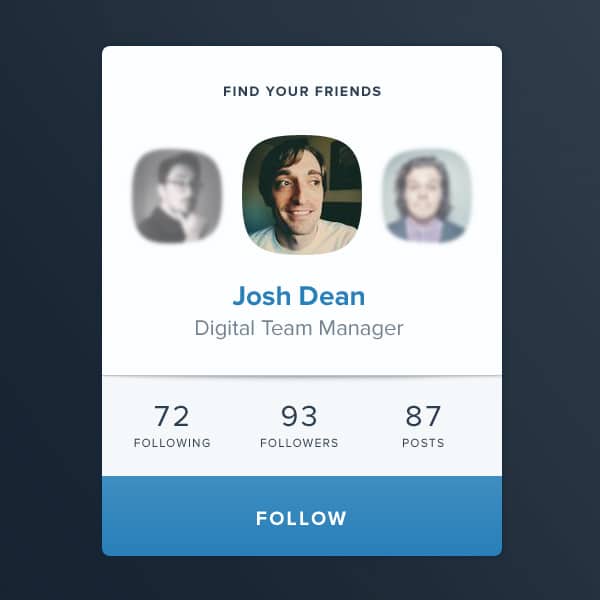 100 + Web Widget Designs PSD 17 Find-Friends