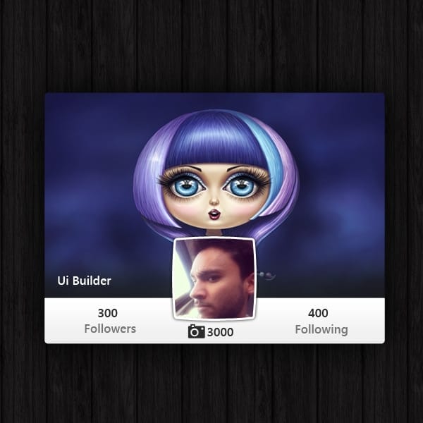 100 + Web Widget Designs PSD 12 Instagram-Widget