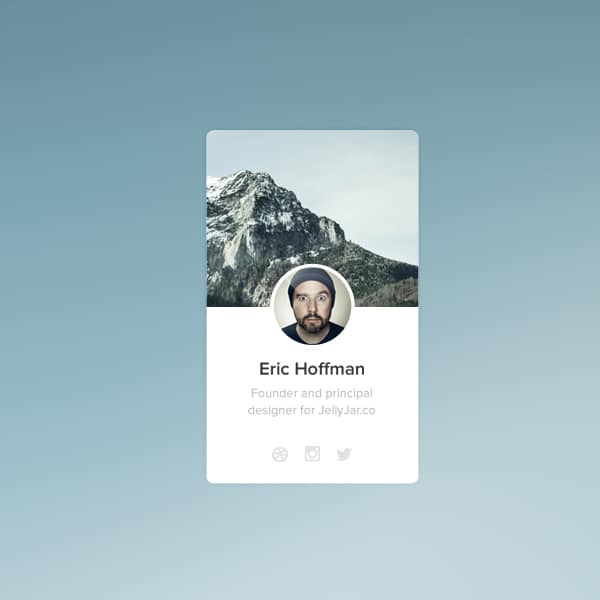 100 + Web Widget Designs PSD 19 Profile-widget