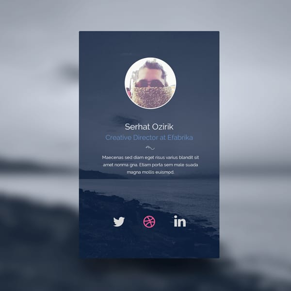 100 + Web Widget Designs PSD 20 Profile Widget