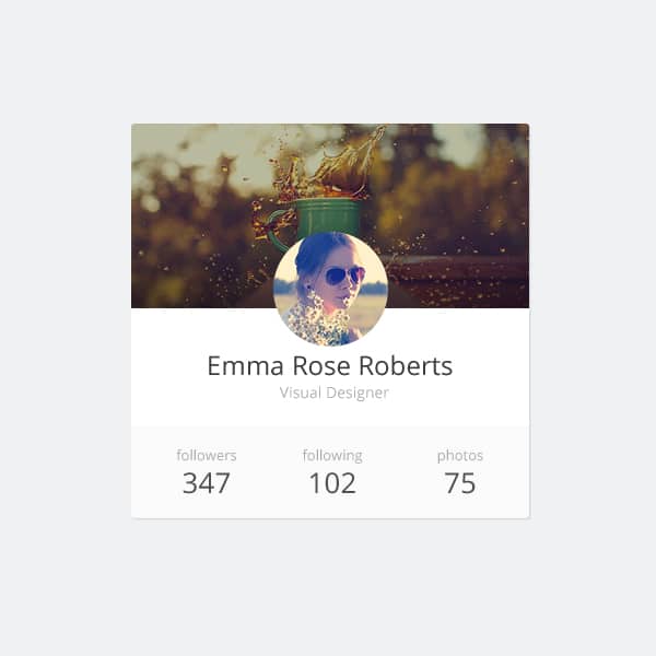 100 + Web Widget Designs PSD 27 User-Widget