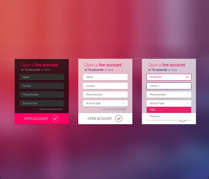 100 + Web Widget Designs PSD 104 Web-Form-Widget