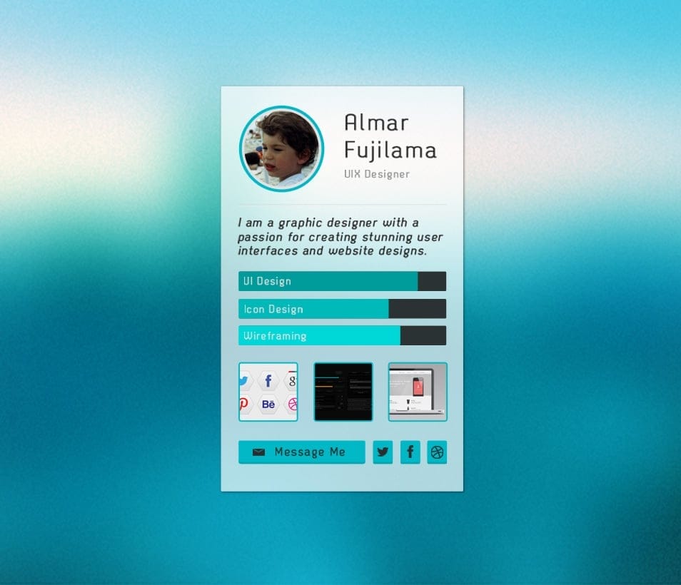100 + Web Widget Designs PSD 25 Designer-Profile-Widget-PSD