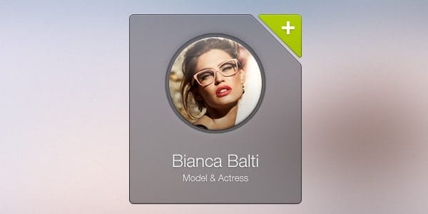 100 + Web Widget Designs PSD 24 Profile-Widget-PSD