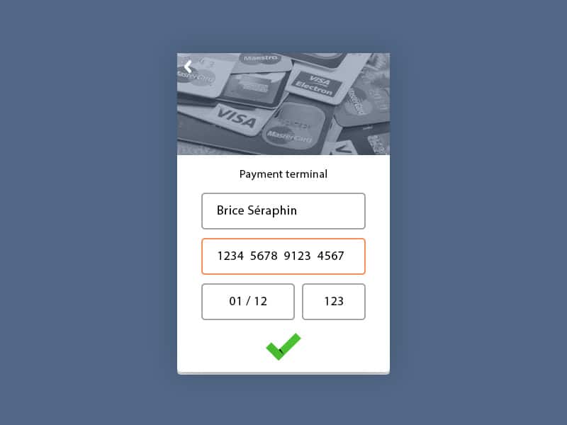 100 + Web Widget Designs PSD 73 Payment Terminal PSD