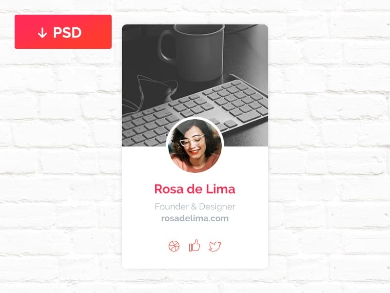 100 + Web Widget Designs PSD 16 Profile Widget PSD