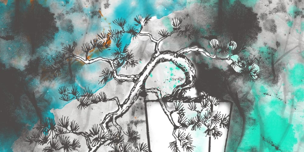 Collection of Best Photoshop Brushes 260 Bonsai Brushes for Photoshop