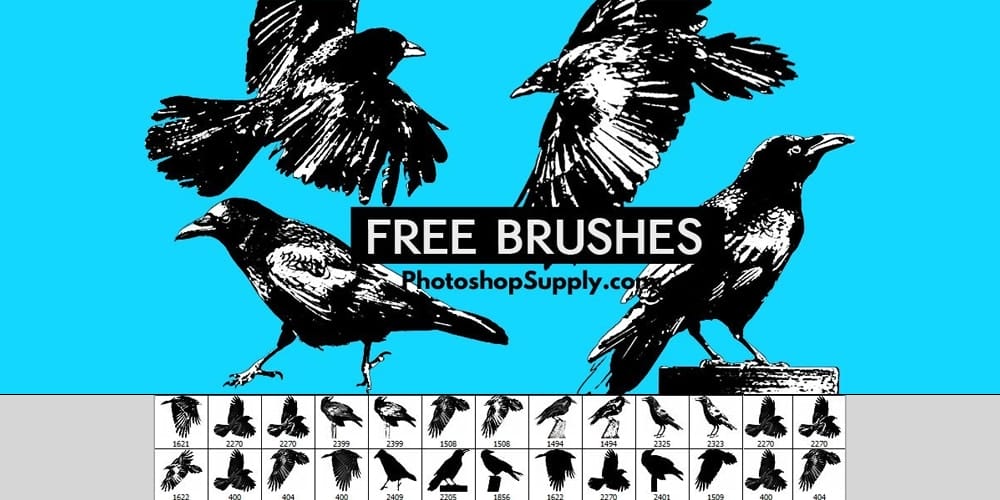 Collection of Best Photoshop Brushes 277 Crow Brushes