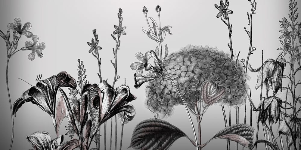 Collection of Best Photoshop Brushes 141 Flower Brushes