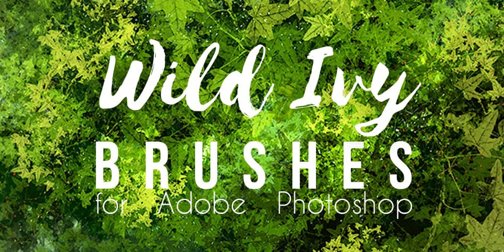 Collection of Best Photoshop Brushes 266 Ivy Brush for Photoshop