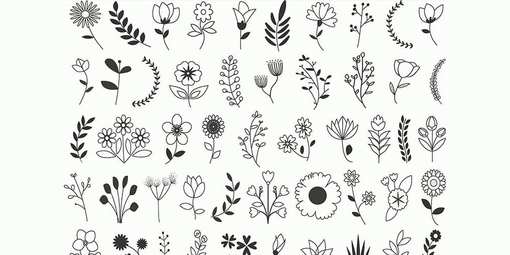 Free Vector Floral Elements