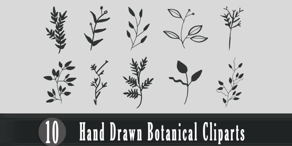 Handmade Botanical Cliparts