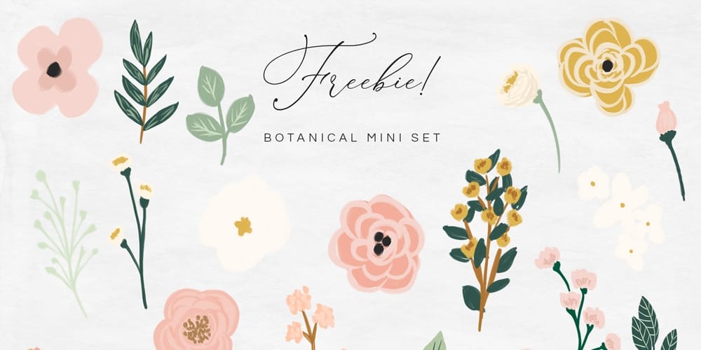 Mini Botanical Illustrations