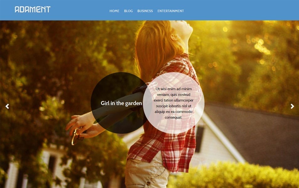 100+ Free Photography WordPress Themes 2024 37 Adament Free Photography WordPress Theme