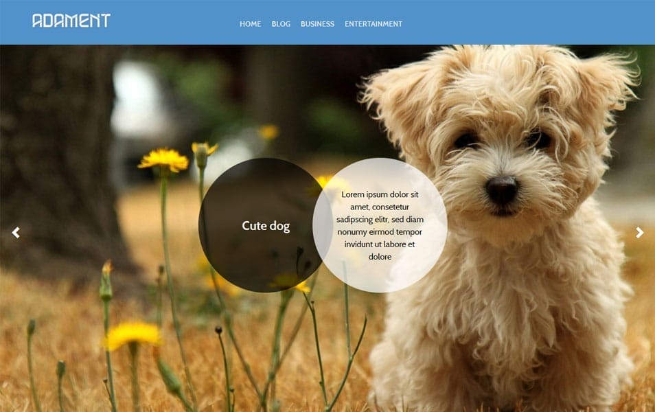 150+ Best Free Wordpress Portfolio Themes 2025 51 Adament Free Portfolio WordPress Theme