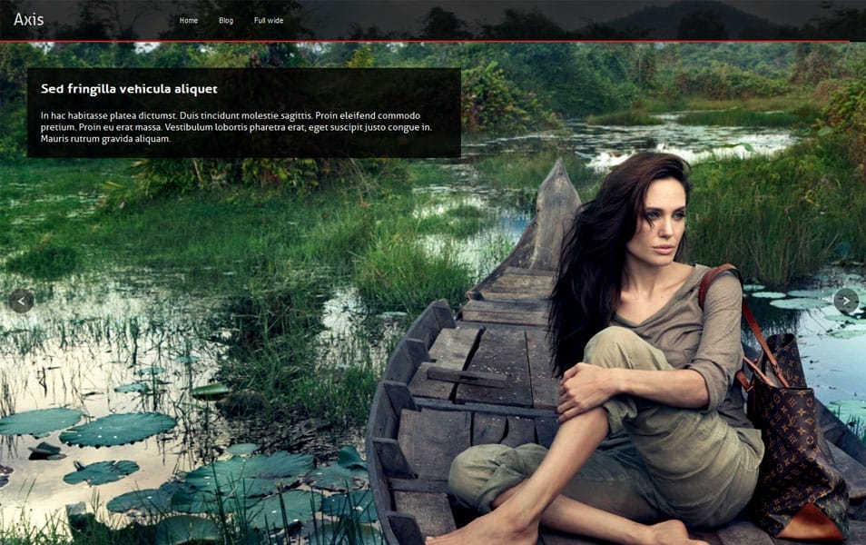 150+ Best Free Wordpress Portfolio Themes 2025 58 Axis Free Portfolio WordPress Theme