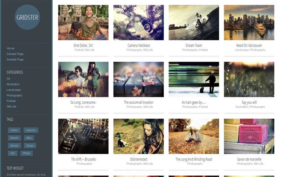 150+ Best Free Wordpress Portfolio Themes 2025 44 Gridster Lite Free Portfolio WordPress Theme