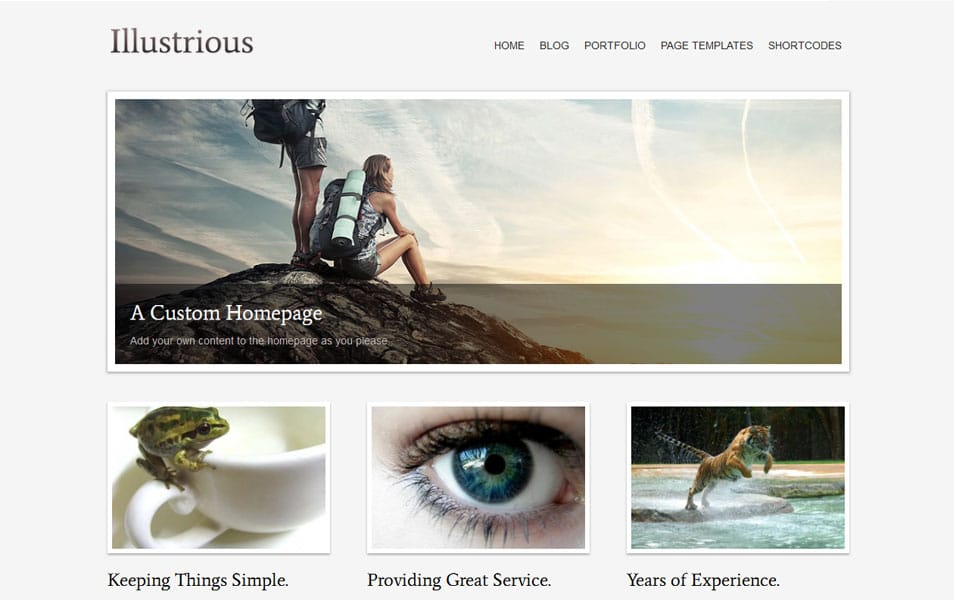 150+ Best Free Wordpress Portfolio Themes 2025 144 Illustrious Free Portfolio WordPress Theme
