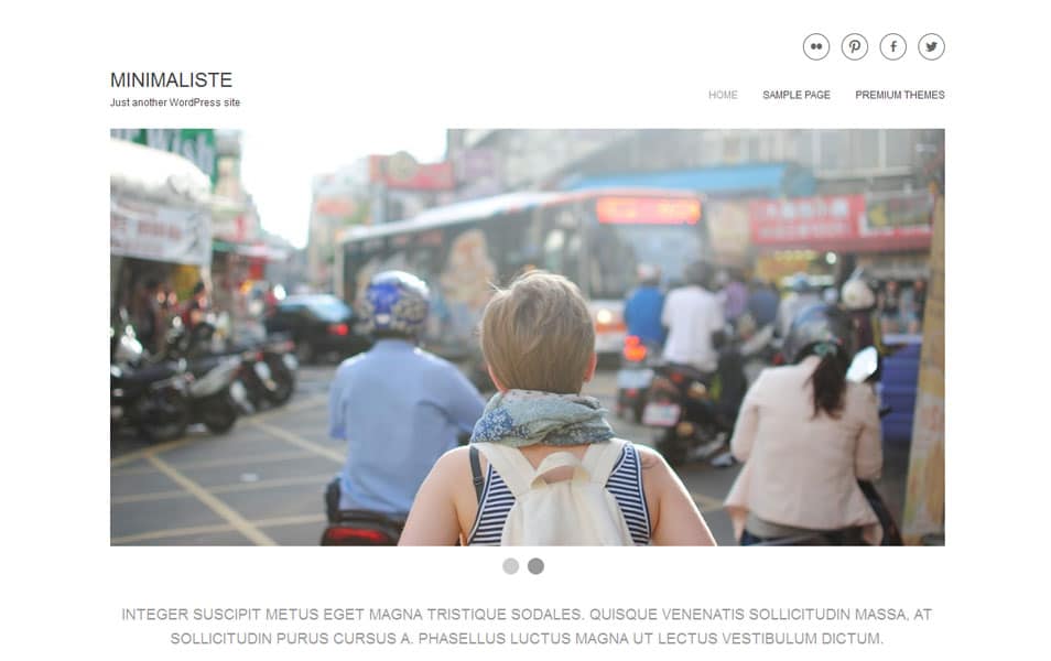 150+ Best Free Wordpress Portfolio Themes 2025 86 Minimaliste Free Portfolio WordPress Theme