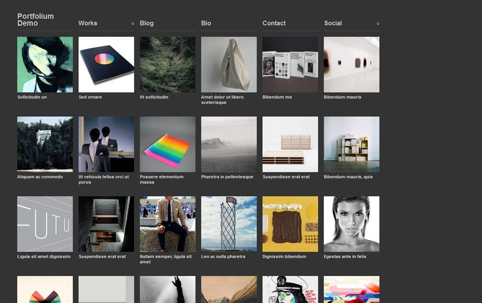 100+ Free Photography WordPress Themes 2024 105 Portfolium Free Photography WordPress Theme