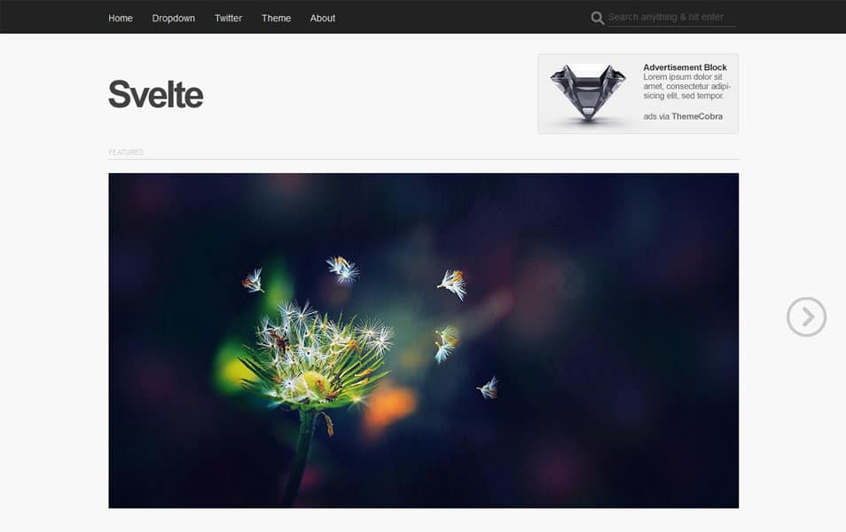 150+ Best Free Wordpress Portfolio Themes 2025 141 Svelte Free Portfolio WordPress Theme