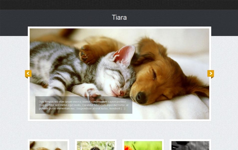 Tiara Free Photography WordPress Theme