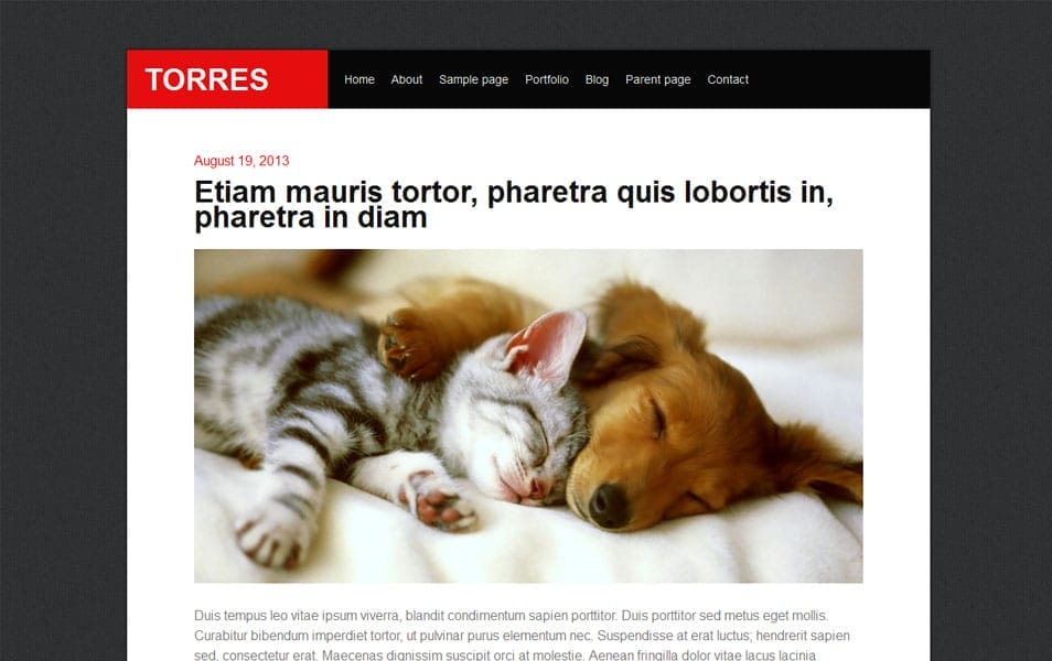 150+ Best Free Wordpress Portfolio Themes 2025 106 Torres Free Portfolio WordPress Theme