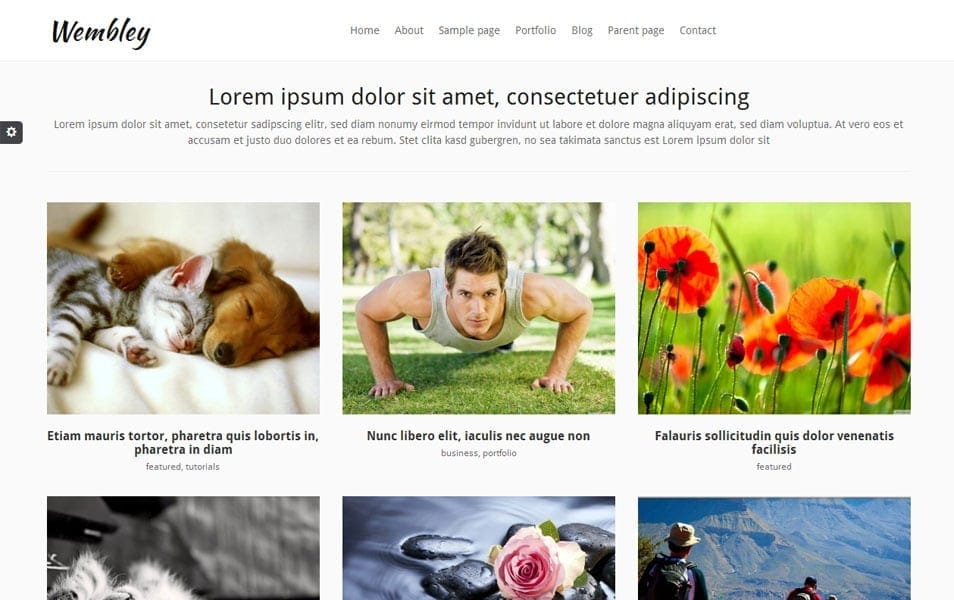 100+ Free Photography WordPress Themes 2024 66 Wembley Free Photography WordPress Theme