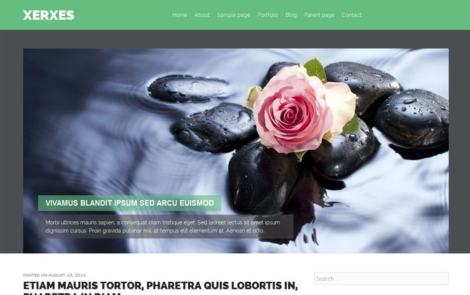 150+ Best Free Wordpress Portfolio Themes 2025 95 Xerxes Free Portfolio WordPress Theme