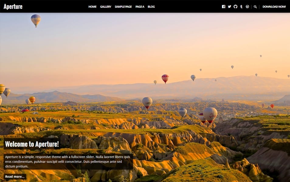 100+ Free Photography WordPress Themes 2024 32 Aperture Responsive WordPress Theme