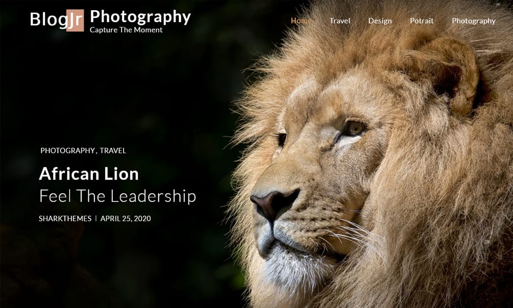 100+ Free Photography WordPress Themes 2024 8 BlogJr Photography