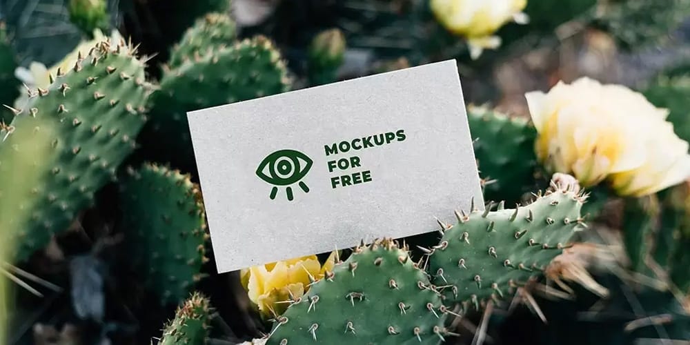 100+ Free Business Card Mockups PSD 1146 Business Card Among Cacti Mockup