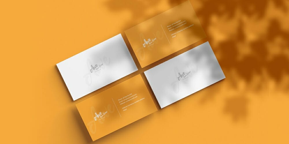 Business Card Mockup With Shadow Overlay