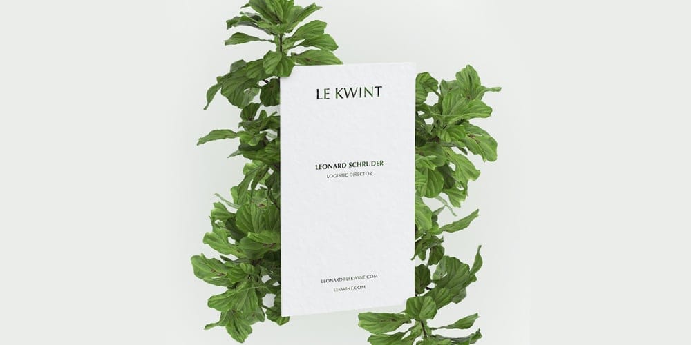 100+ Free Business Card Mockups PSD 255 Business Card Mockup in with Ficus