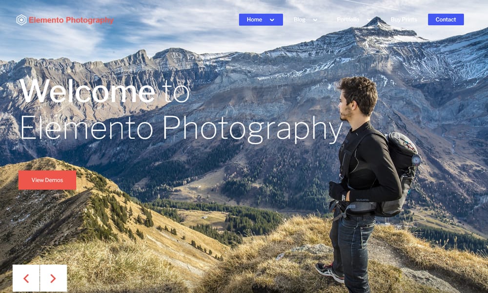 100+ Free Photography WordPress Themes 2024 55 Elemento Photography