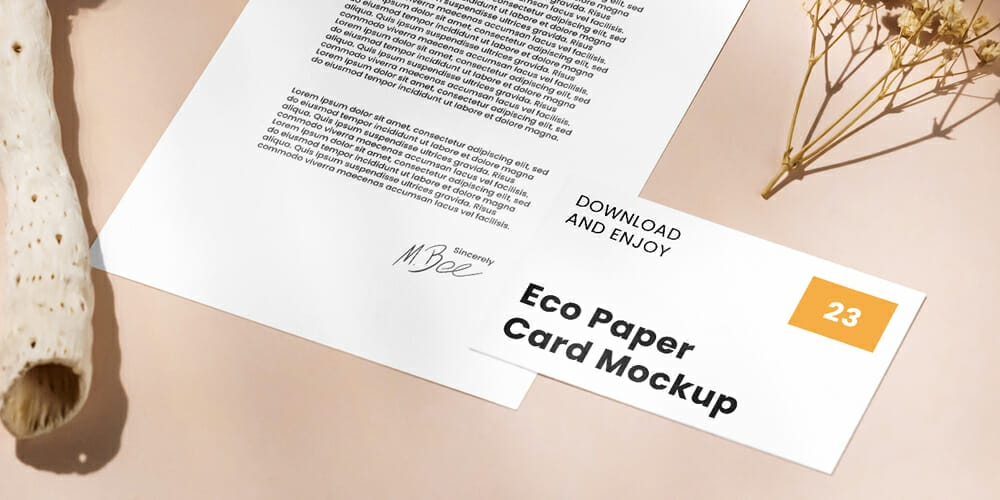 Letterhead with Card Mockup