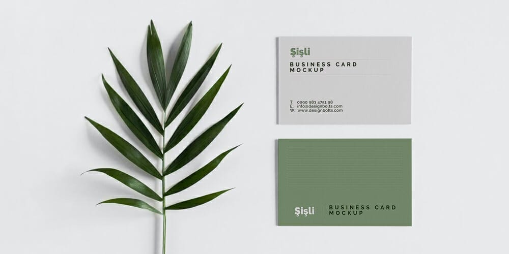 Minimalistic Business Card Mockup