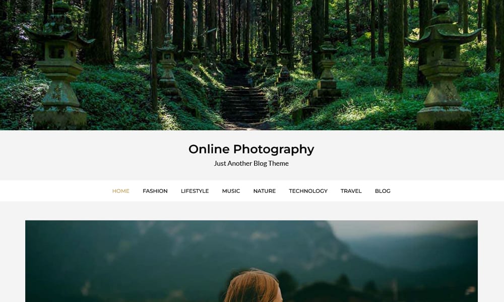 100+ Free Photography WordPress Themes 2024 48 Online Photography