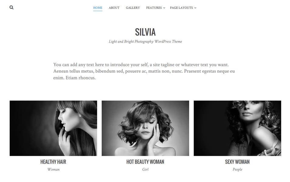 100+ Free Photography WordPress Themes 2024 33 Silvia Responsive WordPress Theme