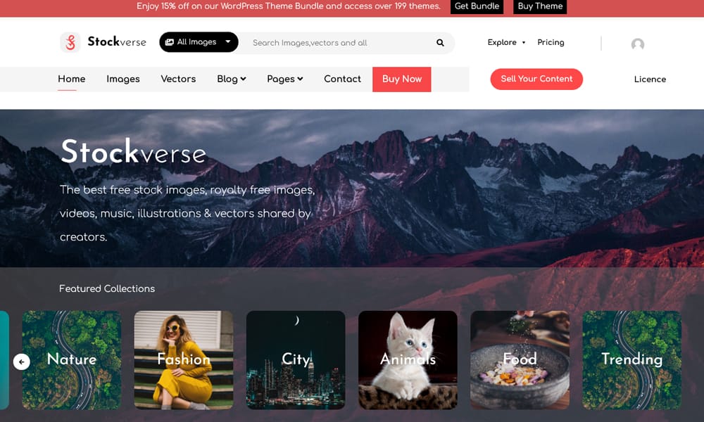 100+ Free Photography WordPress Themes 2024 107 Stock Photos