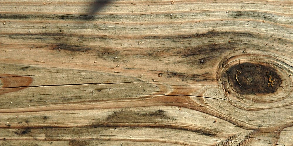 Free Wood Texture