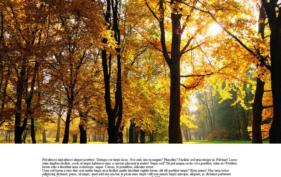 75+ Best jQuery Scrolling Plugins for Websites 25 Parallax ImageScroll - jQuery plugin