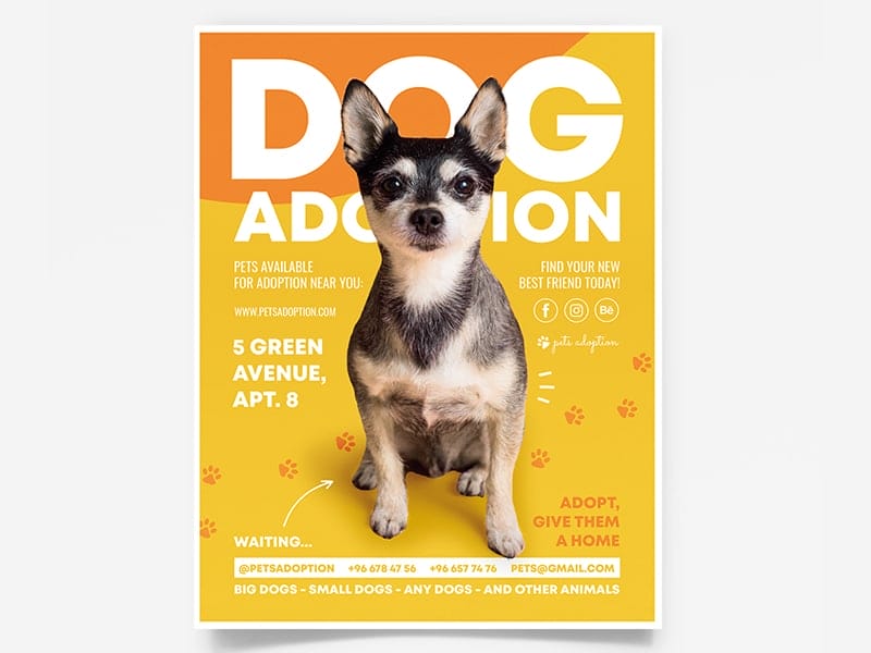 Dog Adoption Flyer Template