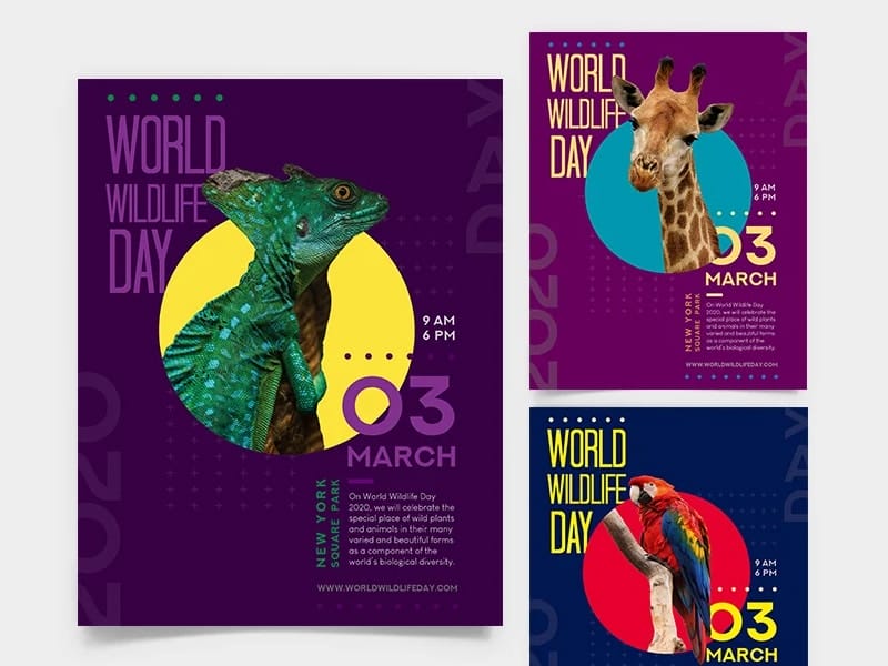 Wildlife Day Flyer Template