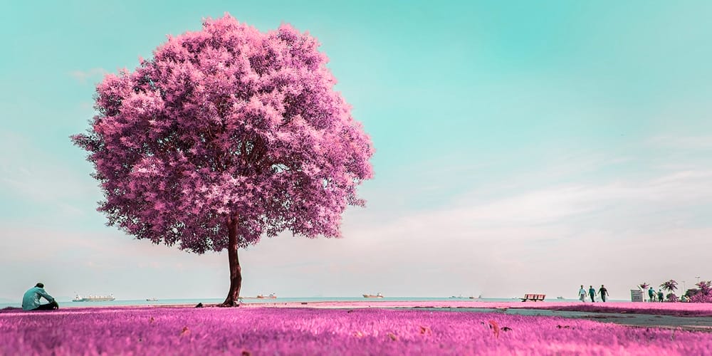 Latest Free Photoshop Actions 248 Anime Color Grading Photoshop Action