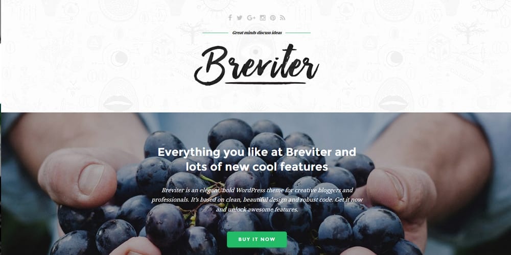Best Free Web Templates 2023 308 Breviter