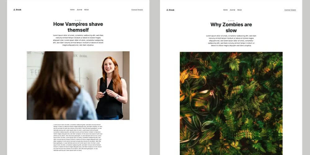 Best Free Web Templates 2023 218 Brook