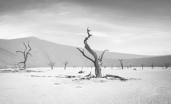 Latest Free Photoshop Actions 77 Free Black & White Photoshop Action